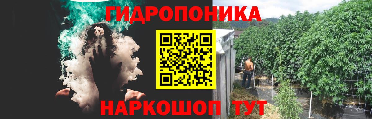 Бошки марихуана семена  Марихуана ГИДРОПОН  МАРИХУАНА гибрид  Амурск  Вход с VPN 